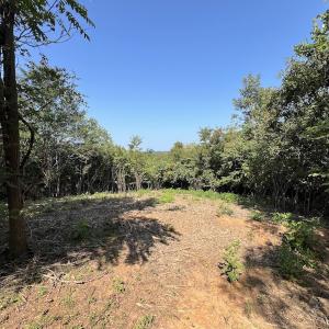 Photo #23 of 03 Seven Island Road, Danbury, NC 24.2 acres