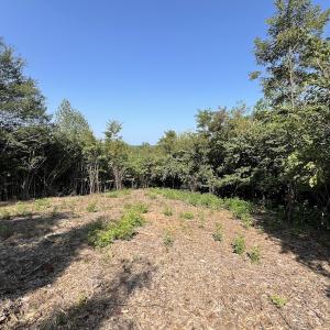 Photo #24 of 03 Seven Island Road, Danbury, NC 24.2 acres