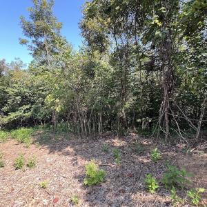 Photo #25 of 03 Seven Island Road, Danbury, NC 24.2 acres