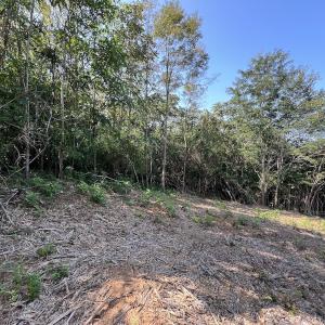 Photo #26 of 03 Seven Island Road, Danbury, NC 24.2 acres