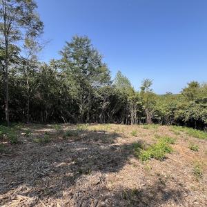 Photo #27 of 03 Seven Island Road, Danbury, NC 24.2 acres