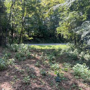 Photo #28 of 03 Seven Island Road, Danbury, NC 24.2 acres