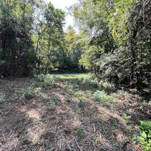 Photo #29 of 03 Seven Island Road, Danbury, NC 24.2 acres
