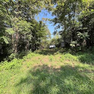 Photo #30 of 03 Seven Island Road, Danbury, NC 24.2 acres