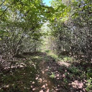Photo #31 of 03 Seven Island Road, Danbury, NC 24.2 acres
