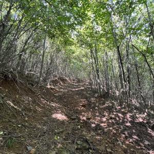 Photo #32 of 03 Seven Island Road, Danbury, NC 24.2 acres