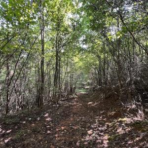 Photo #33 of 03 Seven Island Road, Danbury, NC 24.2 acres