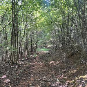 Photo #34 of 03 Seven Island Road, Danbury, NC 24.2 acres