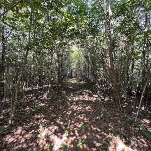 Photo #36 of 03 Seven Island Road, Danbury, NC 24.2 acres