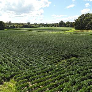 Photo #10 of Off South Main Street, City of Emporia, VA 51.0 acres