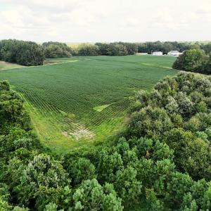 Photo #12 of Off South Main Street, City of Emporia, VA 51.0 acres