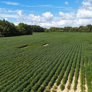 Photo #15 of Off South Main Street, City of Emporia, VA 51.0 acres