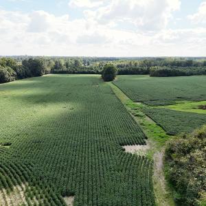 Photo #19 of Off South Main Street, City of Emporia, VA 51.0 acres