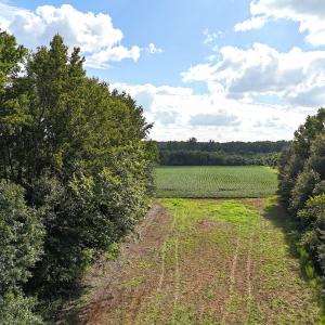 Photo #21 of Off South Main Street, City of Emporia, VA 51.0 acres