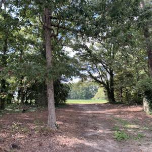 Photo #22 of Off South Main Street, City of Emporia, VA 51.0 acres