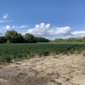 Photo #25 of Off South Main Street, City of Emporia, VA 51.0 acres