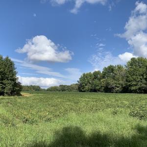 Photo #27 of Off South Main Street, City of Emporia, VA 51.0 acres