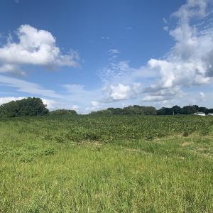 Photo #28 of Off South Main Street, City of Emporia, VA 51.0 acres