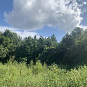 Photo #29 of Off South Main Street, City of Emporia, VA 51.0 acres