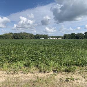 Photo #33 of Off South Main Street, City of Emporia, VA 51.0 acres
