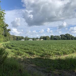 Photo #36 of Off South Main Street, City of Emporia, VA 51.0 acres