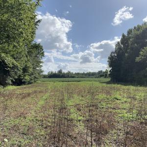 Photo #37 of Off South Main Street, City of Emporia, VA 51.0 acres