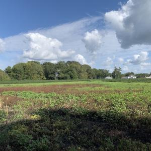 Photo #38 of Off South Main Street, City of Emporia, VA 51.0 acres