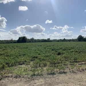 Photo #40 of Off South Main Street, City of Emporia, VA 51.0 acres