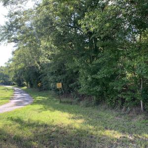 Photo #41 of Off South Main Street, City of Emporia, VA 51.0 acres