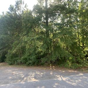 Photo #43 of Off South Main Street, City of Emporia, VA 51.0 acres