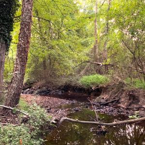 Photo #45 of Off South Main Street, City of Emporia, VA 51.0 acres