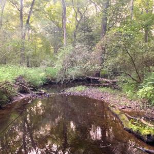 Photo #46 of Off South Main Street, City of Emporia, VA 51.0 acres