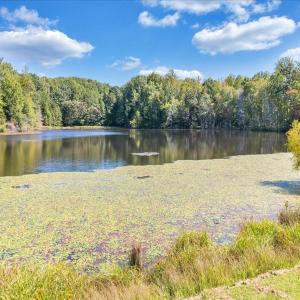 Photo #11 of Off Mountain View Loop, Stuart, VA 145.3 acres