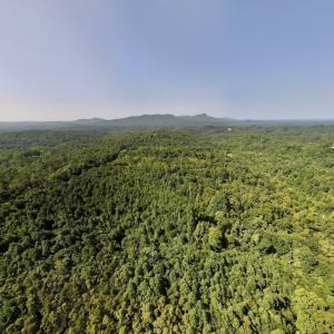 Photo #11 of 05 Seven Island Road, Danbury, NC 40.3 acres