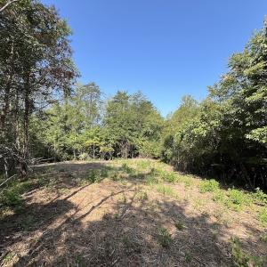 Photo #14 of 05 Seven Island Road, Danbury, NC 40.3 acres
