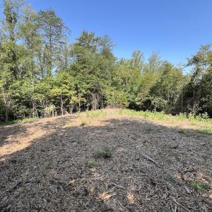 Photo #15 of 05 Seven Island Road, Danbury, NC 40.3 acres