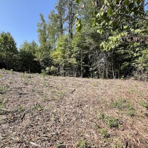 Photo #17 of 05 Seven Island Road, Danbury, NC 40.3 acres