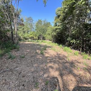 Photo #18 of 05 Seven Island Road, Danbury, NC 40.3 acres