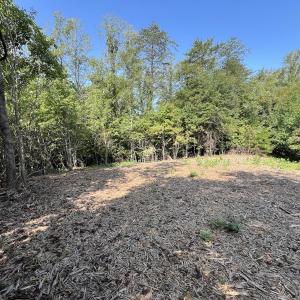 Photo #19 of 05 Seven Island Road, Danbury, NC 40.3 acres