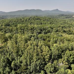 Photo #2 of 05 Seven Island Road, Danbury, NC 40.3 acres