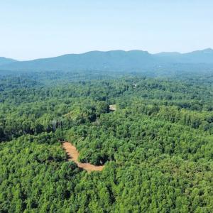 Photo #23 of 05 Seven Island Road, Danbury, NC 40.3 acres