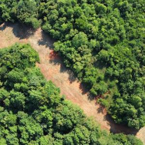 Photo #25 of 05 Seven Island Road, Danbury, NC 40.3 acres