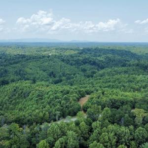 Photo #26 of 05 Seven Island Road, Danbury, NC 40.3 acres