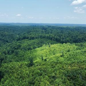 Photo #28 of 05 Seven Island Road, Danbury, NC 40.3 acres