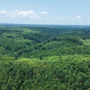 Photo #29 of 05 Seven Island Road, Danbury, NC 40.3 acres