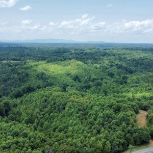Photo #30 of 05 Seven Island Road, Danbury, NC 40.3 acres