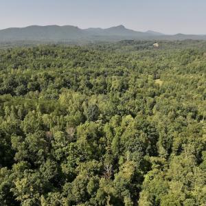 Photo #3 of 05 Seven Island Road, Danbury, NC 40.3 acres