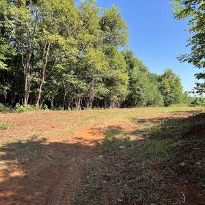 Photo #31 of 05 Seven Island Road, Danbury, NC 40.3 acres