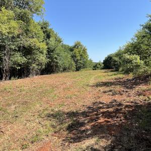 Photo #32 of 05 Seven Island Road, Danbury, NC 40.3 acres