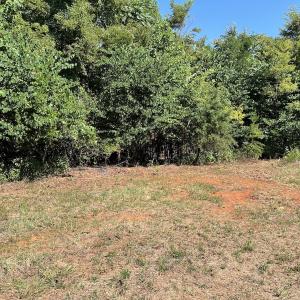 Photo #33 of 05 Seven Island Road, Danbury, NC 40.3 acres
